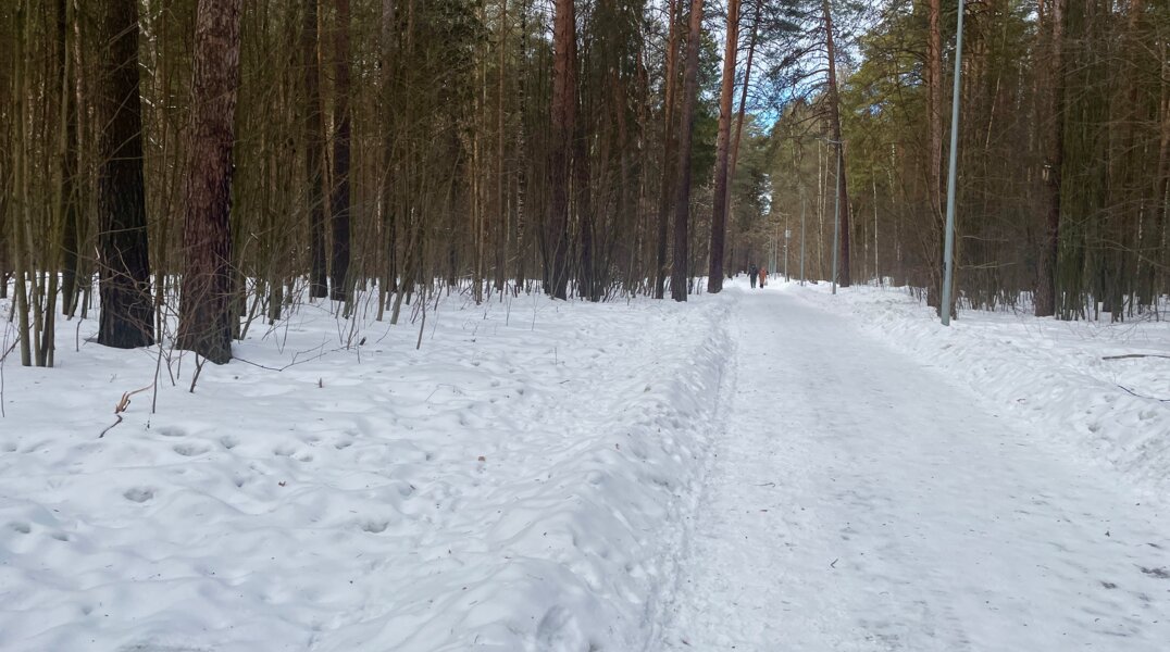 Тело пропавшего во время квеста мужчины обнаружили под Пермью