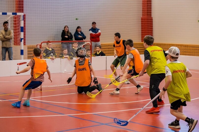 В Перми прошел первый турнир по летнему хоккею