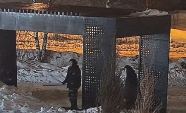 В Чусовом родителей подростков-вандалов заставили платить за поврежденное городское имущество