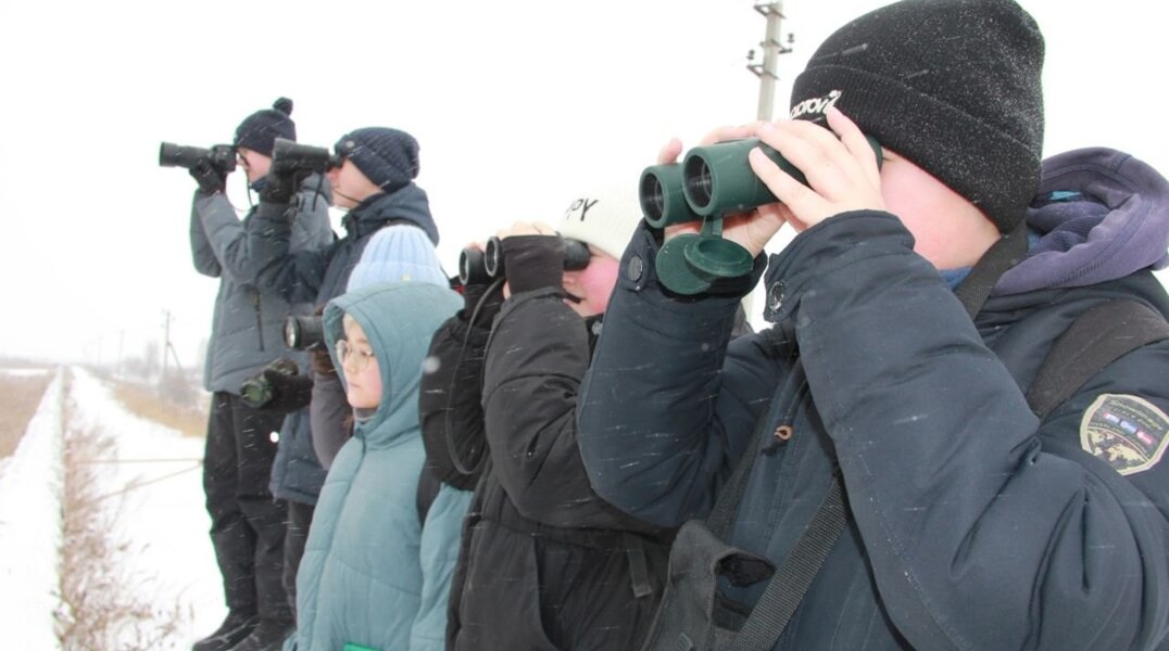 В Прикамье провели перепись воробьев