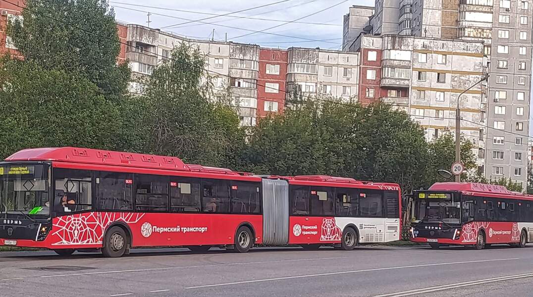Автобус 1