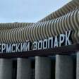 Пермский зоопарк признали лучшим новым парком России