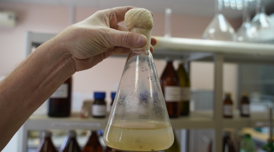 Пермские ученые придумали способ очистки песка черноморского побережья