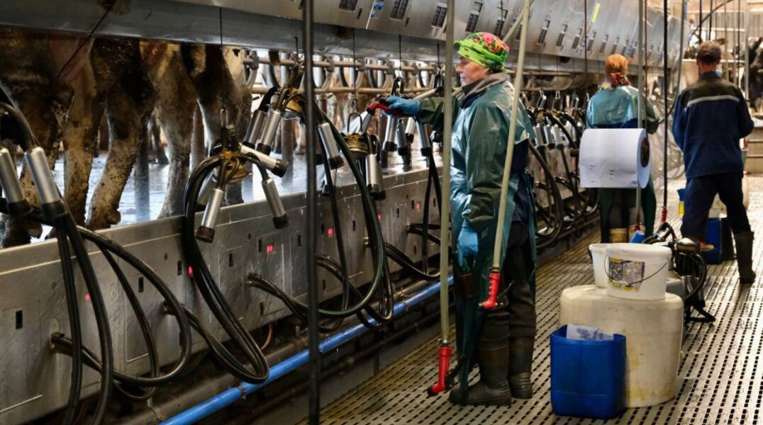 Аграрии Прикамья получат 30% госубсидий 2023 года до начала посевной