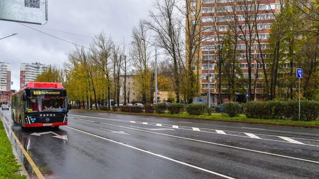 автобус дорога