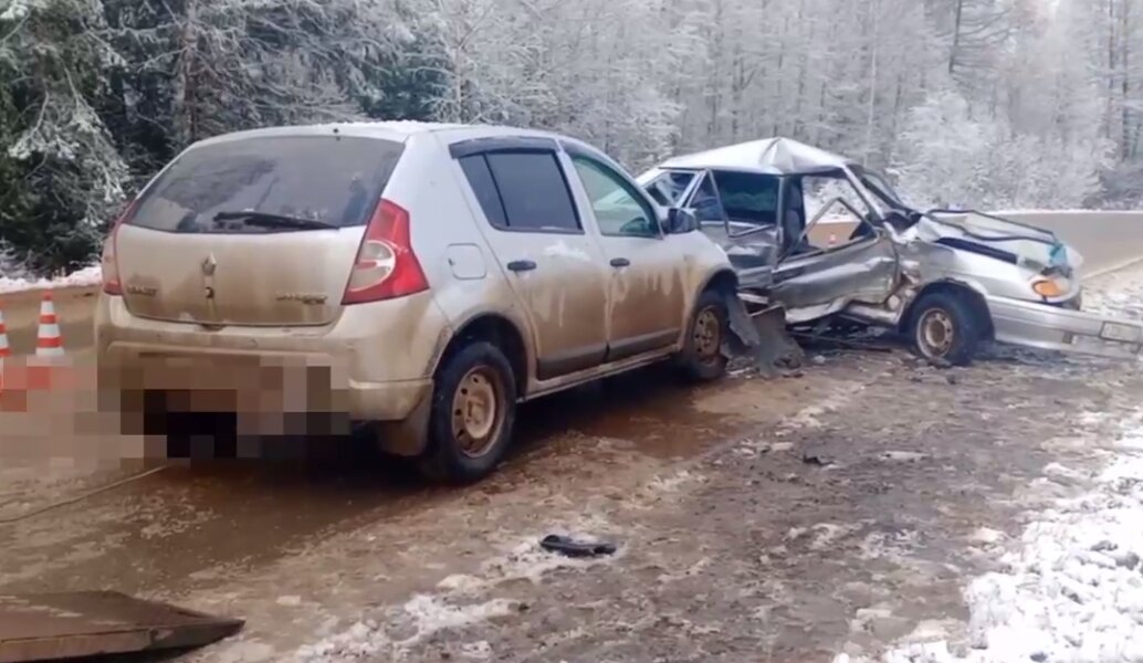 В первый день ноября в Прикамье в ДТП погибла девушка-пассажир