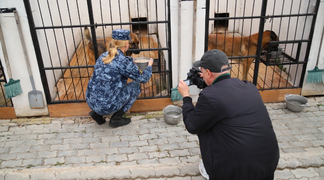Пермских служебных собак ГУФСИН покажут на Первом канале. Фото