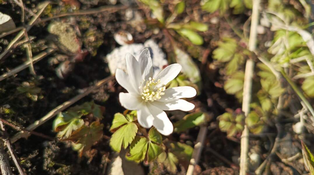 Неделя в Прикамье будет теплее климатической нормы в среднем на два градуса