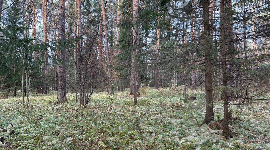 На севере Пермского края заметили людей, незаконно собирающих ягель