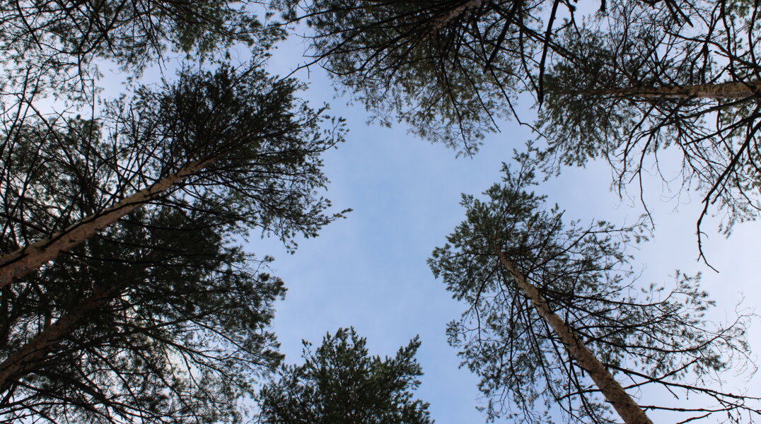 В Прикамье работодатель выплатит семье погибшего сотрудника 2,5 миллиона рублей