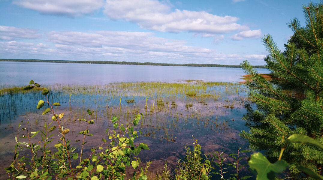 Пермские турфирмы запустят новые, ягодные туры