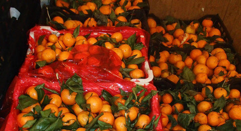 На пермском рынке изъяли более 2 тонн хурмы, мандаринов и томатов без документов