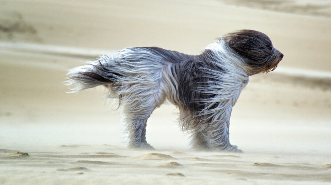 МЧС: 7-10 мая в Пермском крае ожидаются неблагоприятные и опасные метеорологические условия