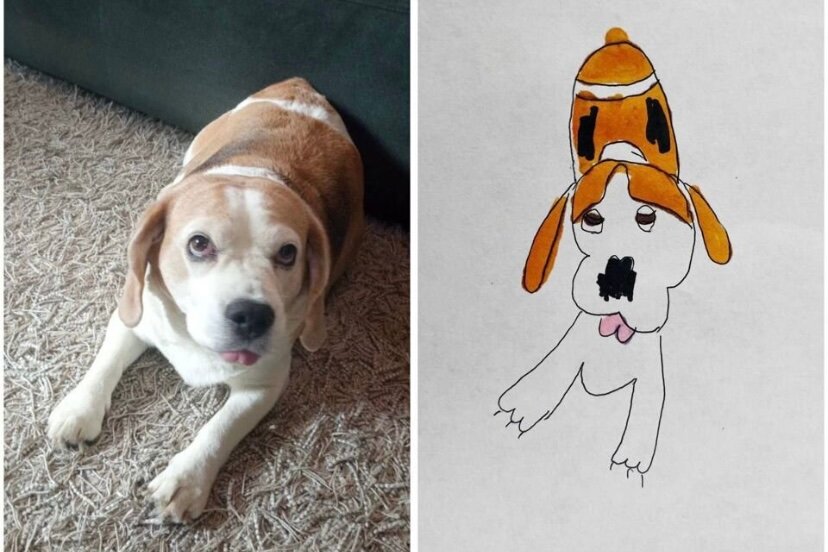 Юная пермячка разместила на «Авито» предложение рисовать домашних любимцев на заказ