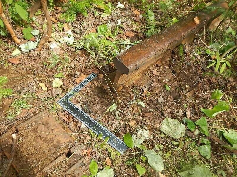 ​Трое прикамцев распилили и украли более ста тонн рельсов