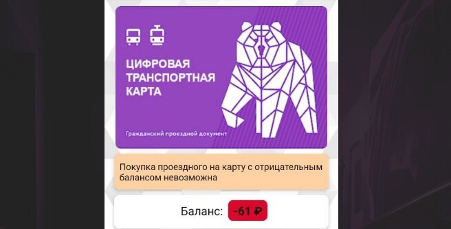 Откуда мог появиться «минус»? Пермяков удивил отрицательный баланс на транспортных картах