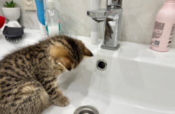 В Мотовилихинском районе Перми и-за утечки на сетях без воды остался 31 дом