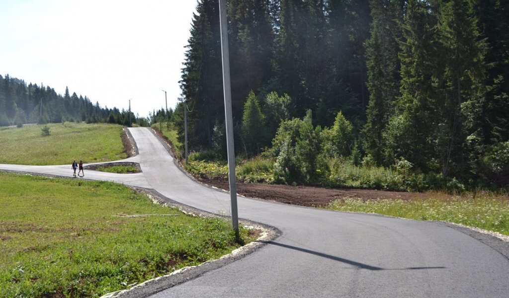 В 2023 году в Прикамье появится лыжероллерная трасса