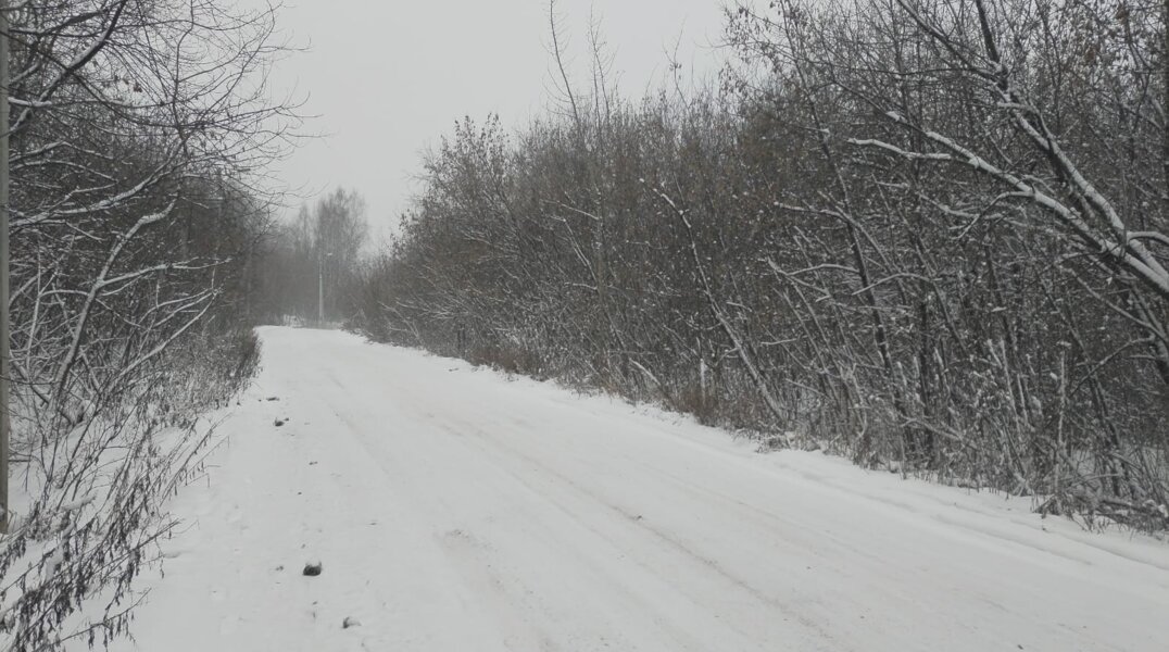 Пермские городские леса подготовили к открытию лыжного сезона