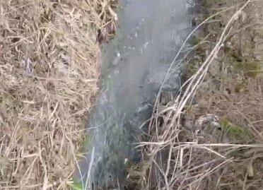 Жители Камской долины в Перми пожаловались на перегруженный коллектор