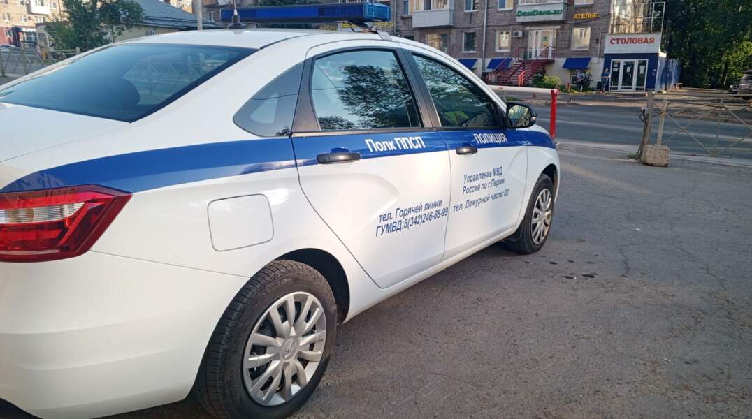 Полиция, автомобиль, ППС, дежурная часть