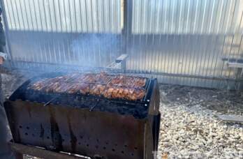  В Прикамье подорожали шампуры, древесный уголь и мясо для шашлыка