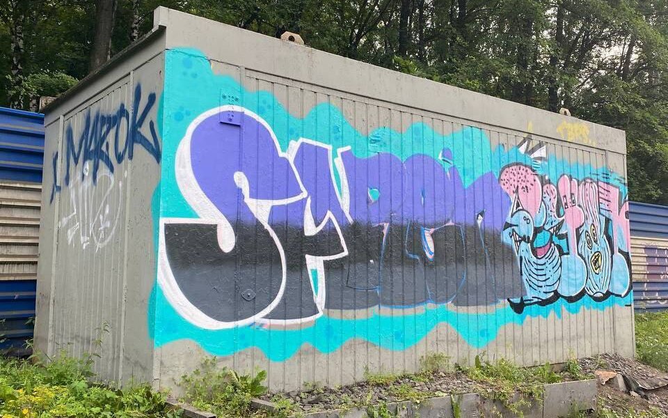 В Перми поймали граффитиста, разрисовавшего жд-объекты