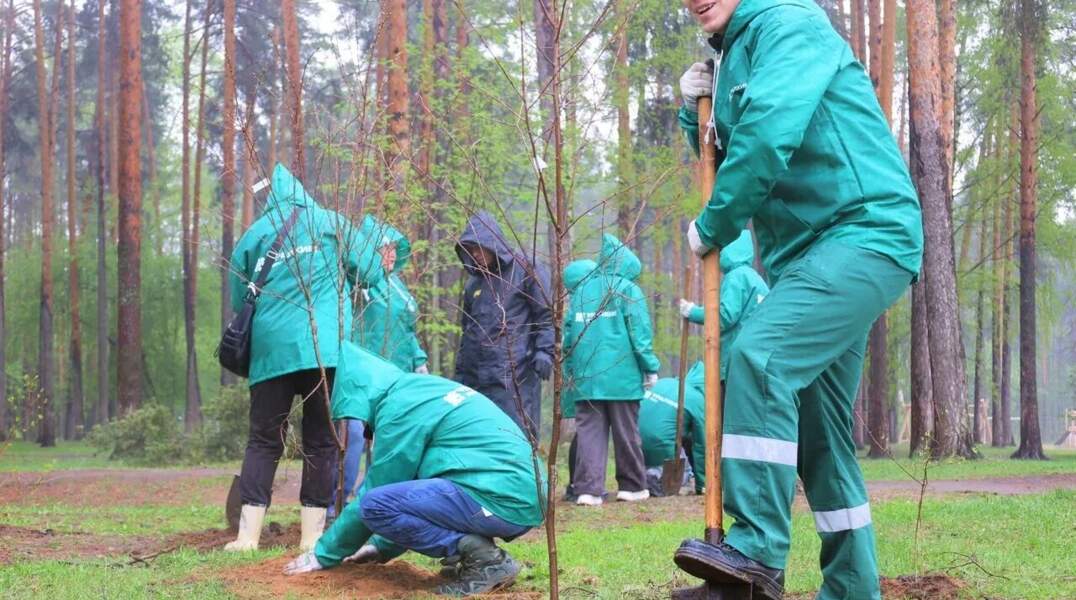 «Уралхим» высадил 100 деревьев в Черняевском лесу Перми