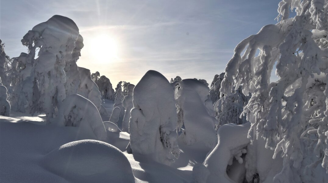 Государственный заповедник «Басеги» может получить имя профессора-биолога