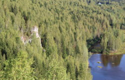 В Прикамье планируют создать более 40 новых особо охраняемых природных территорий