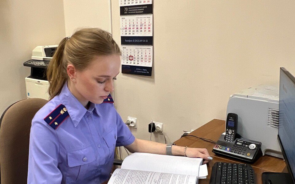 В Перми следком поводит проверку драки, в которой пермяк ударил двоих маленьких детей