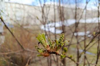 Специалисты рассказали, когда в Прикамье наступит потепление