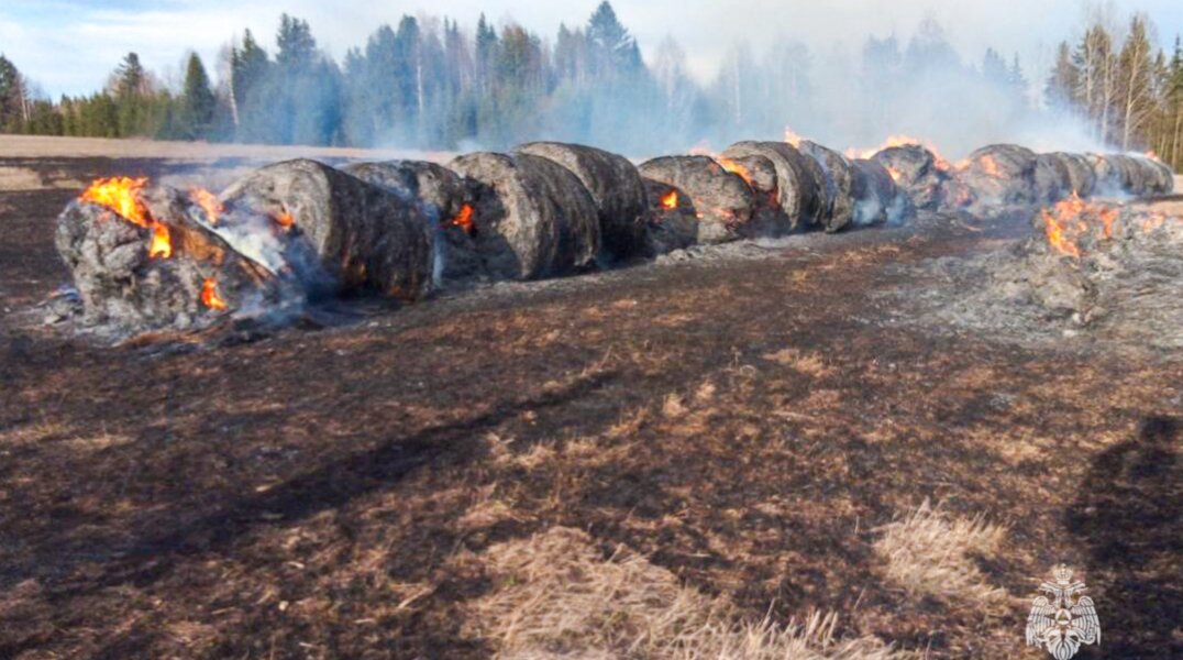 В Пермском крае потушили полгектара сухой травы