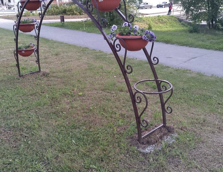 Мэр города в Пермском крае пожаловался на кражу цветка в горшке с улицы