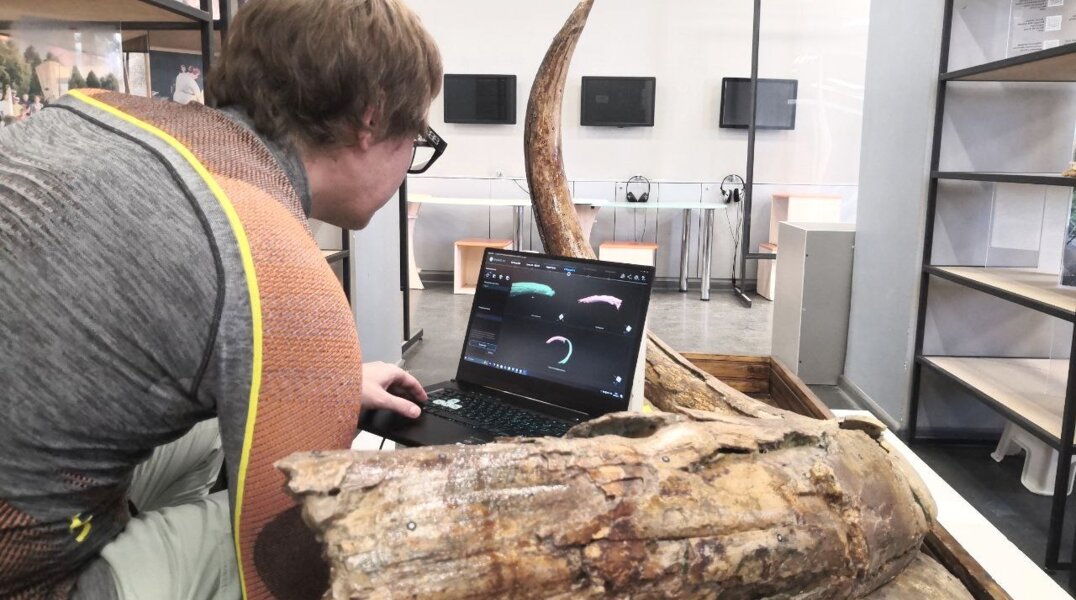 В Перми начали 3D-сканирование костей трогонтериевого слона