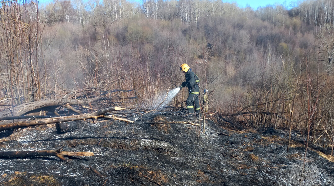 В Пермском крае зафиксировано 19 природных пожаров