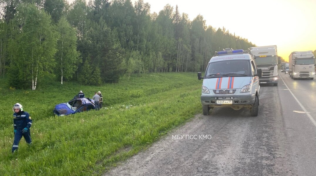 В Прикамье Лада Приора сбила лося, пострадали три человека