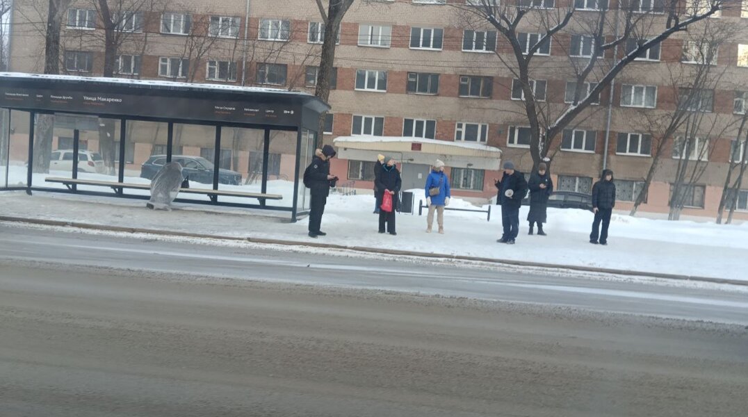 В Перми на остановке улицы Макаренко нашли труп пожилой женщины