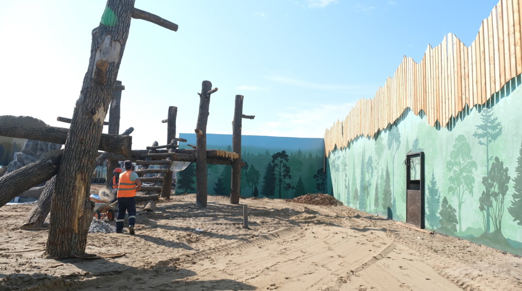 Первые жители нового пермского зоопарка прошли адаптацию