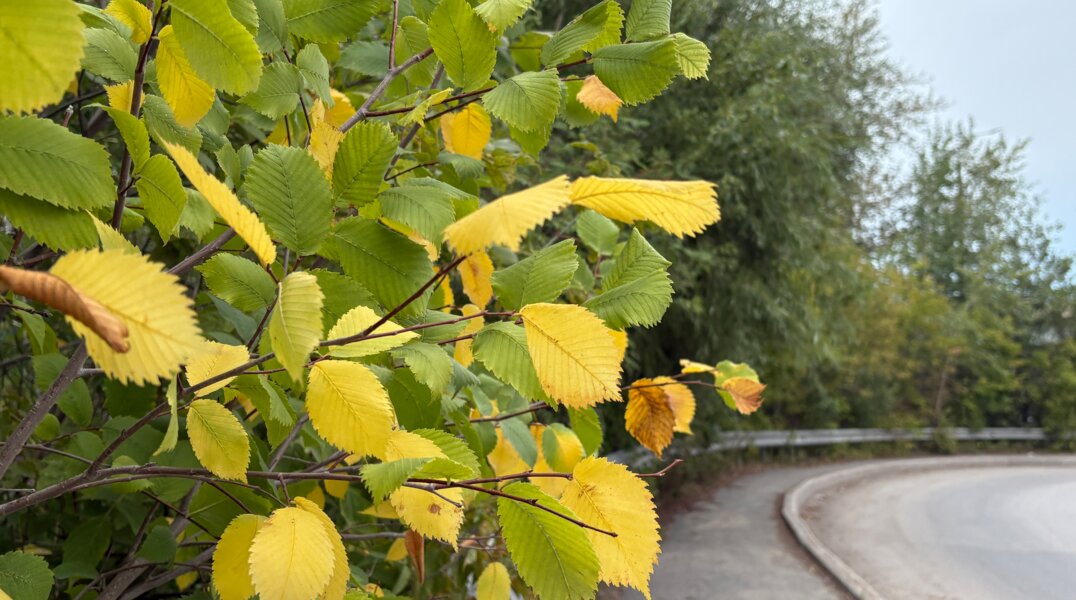 Циклон над Татарстаном определит погоду в Пермском крае во вторник