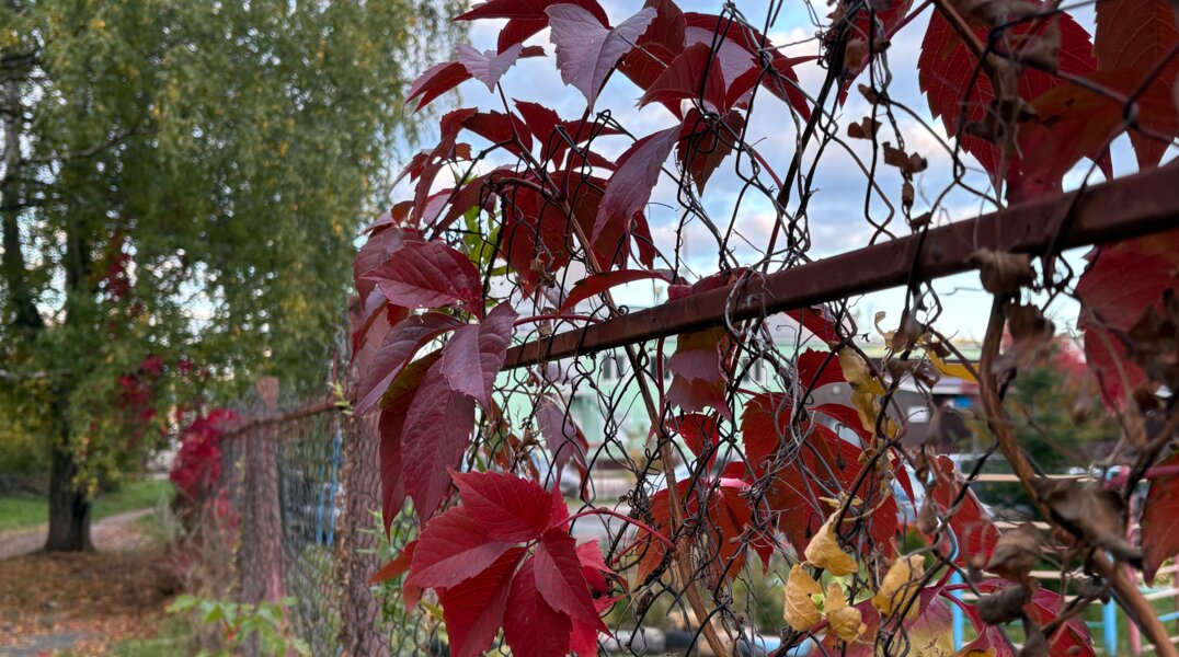 В Пермском крае ожидается сухая и теплая неделя