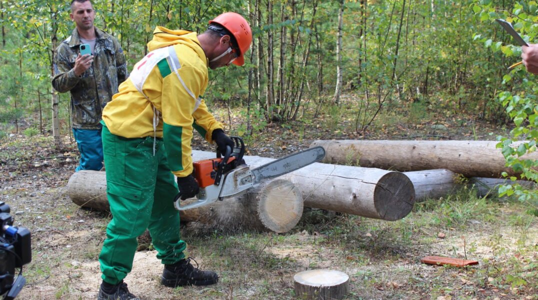 Прикамье вошло в тройку регионов России по наибольшему спросу работников лесной отрасли