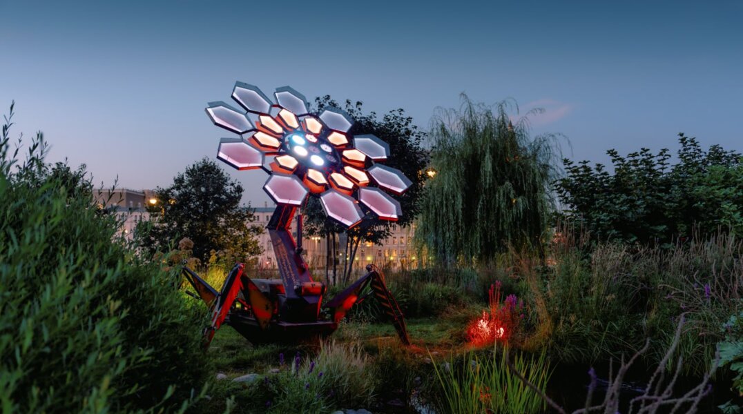 Фестиваль «Просвет» представит световые инсталляции на экотропе Перми