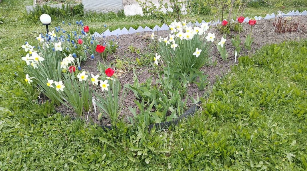 Предприниматель из Перми запустил всероссийский «дачный» маркетплейс