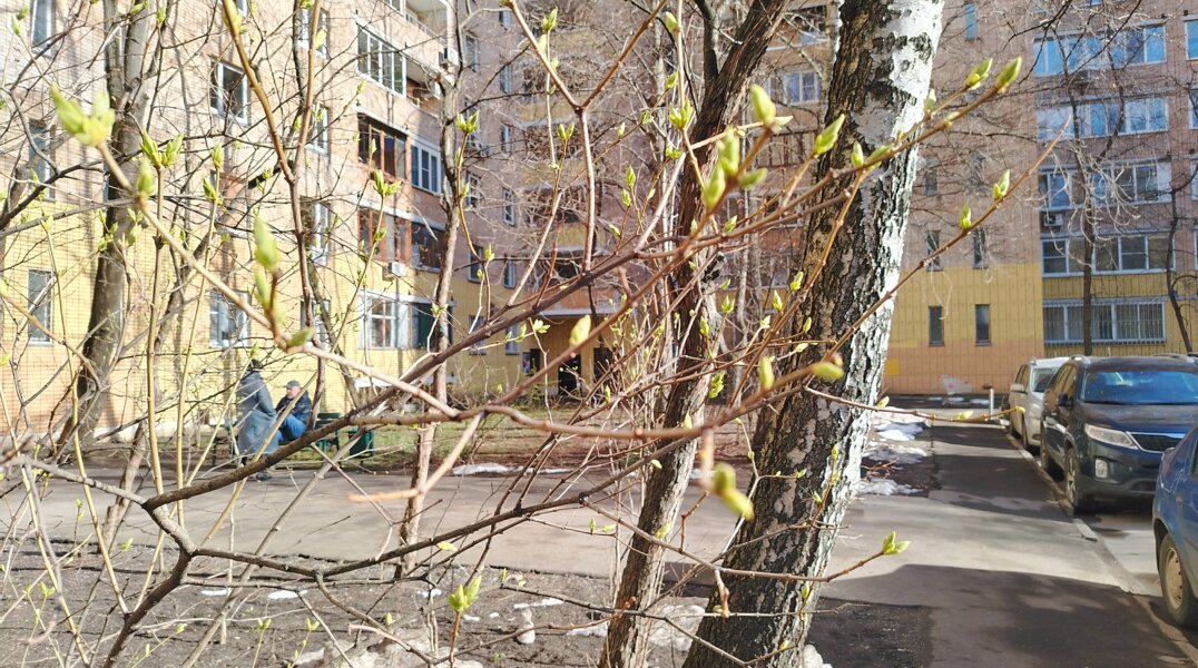 В Пермском крае ожидается резкое потепление после апрельских заморозков