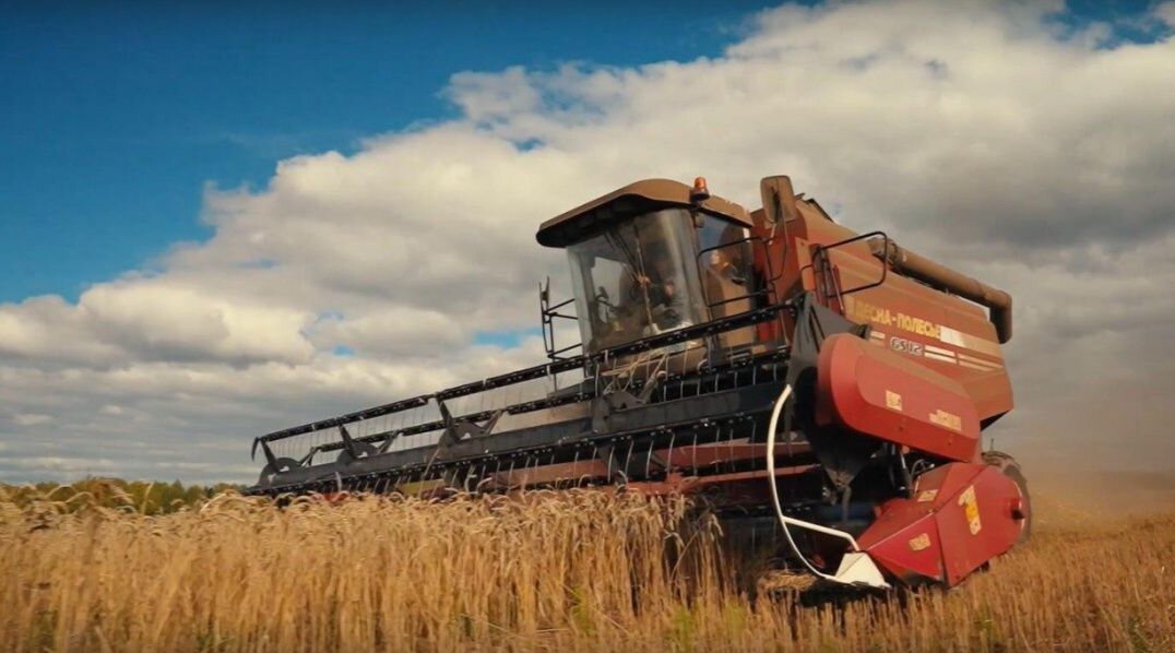 В Прикамье вдвое повысят выплаты начинающим специалистам сельхозпредприятий