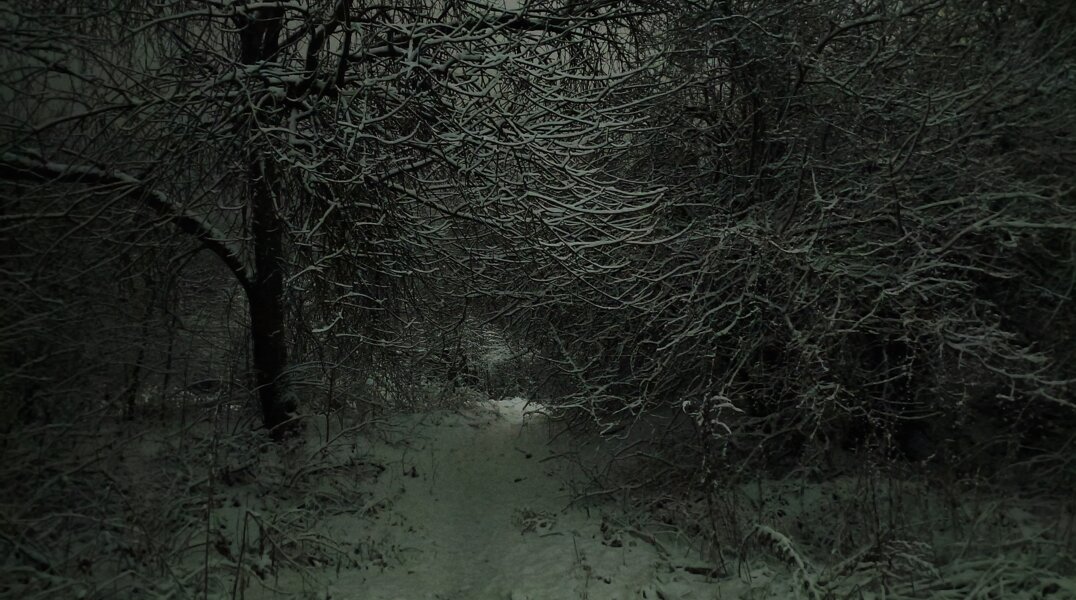 В Перми объявили срочный сбор на поиски основателя компании «Дома Дом»