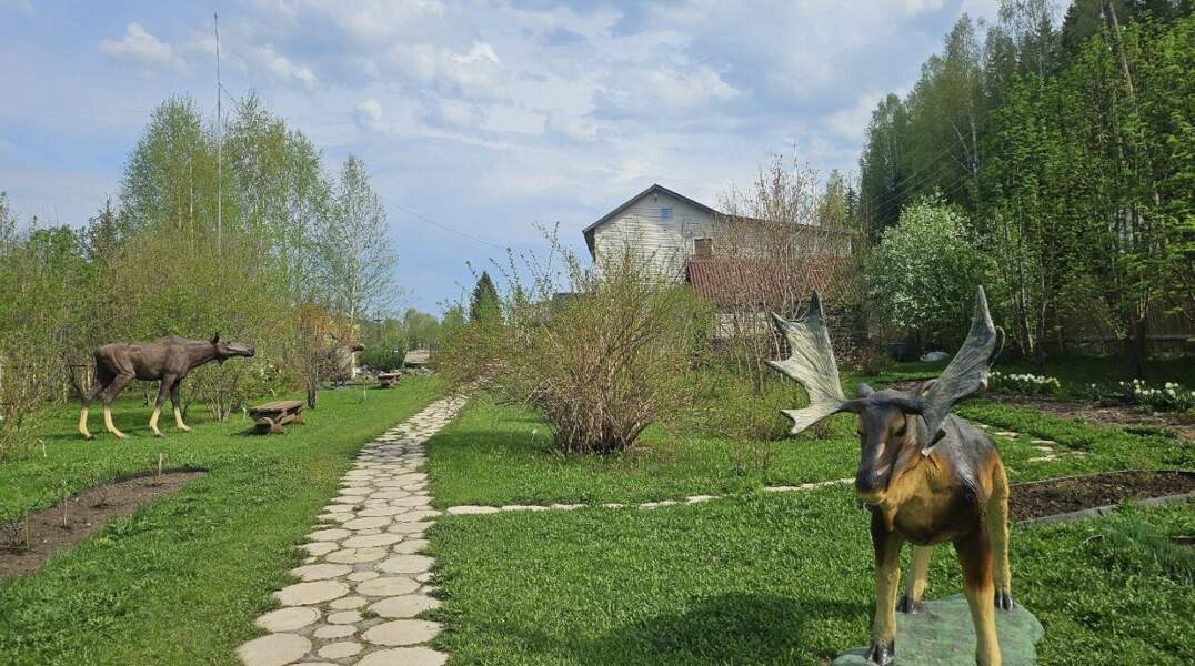 В заповеднике на севере Прикамья появились ростовые фигуры животных