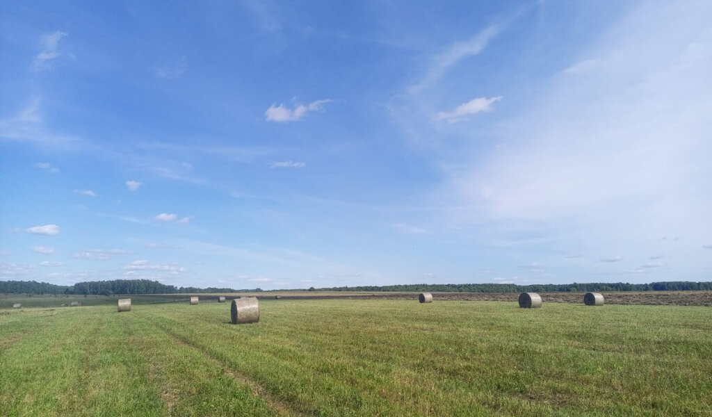 В Прикамье откроют завод по производству пищевой добавки для крупного рогатого скота и птицы