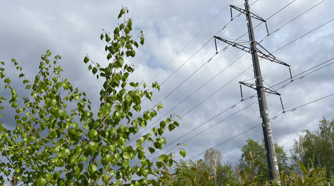 Антициклон принесёт в Прикамье прохладу и ветреную погоду